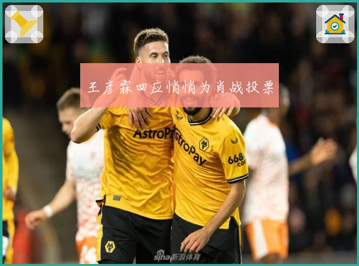 王彦霖回应悄悄为肖战投票