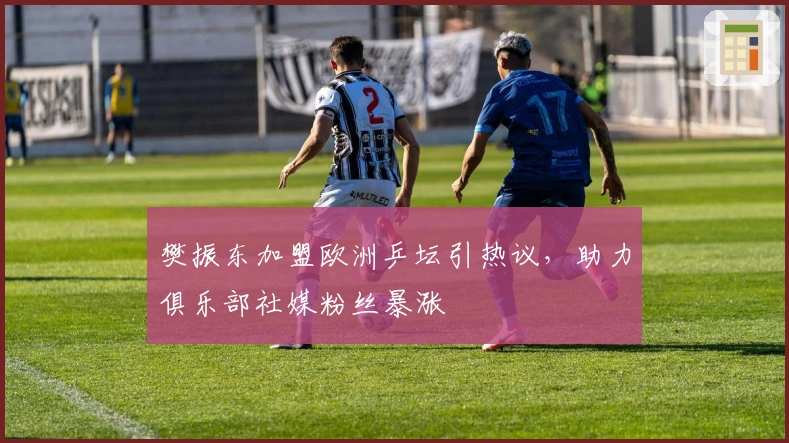 樊振东加盟欧洲乒坛引热议，助力俱乐部社媒粉丝暴涨